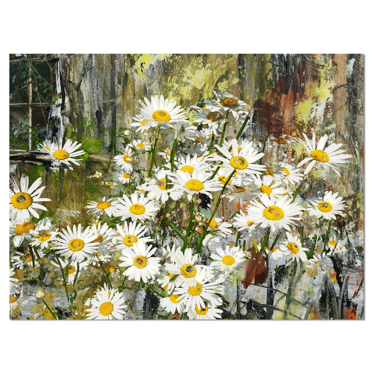 Designart - Daisies Flowers Under the Window - Floral Art Canvas Print